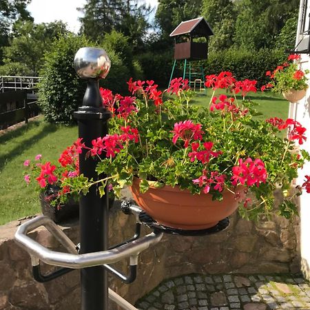 Ferienwohnung Grieser Geising Exterior foto