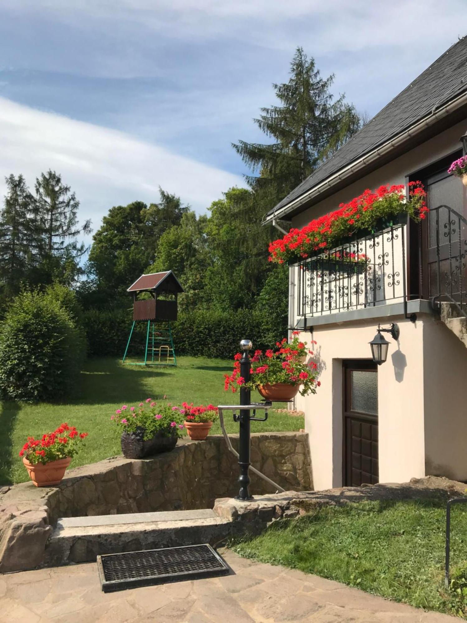 Ferienwohnung Grieser Geising Exterior foto