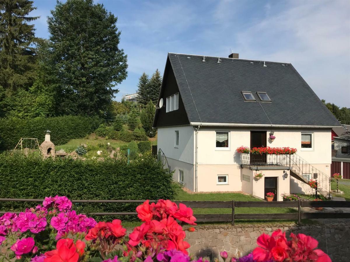 Ferienwohnung Grieser Geising Exterior foto